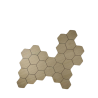 octogonal type 1