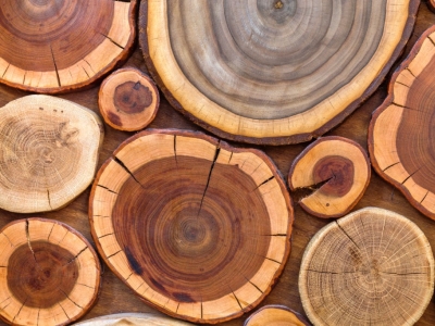 Claustra bois : Quel bois choisir pour un rendu esthétique et durable ?